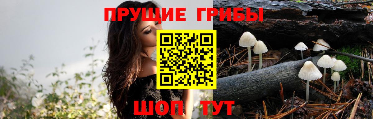 Галлюциногенные грибы Cubensis Ревда